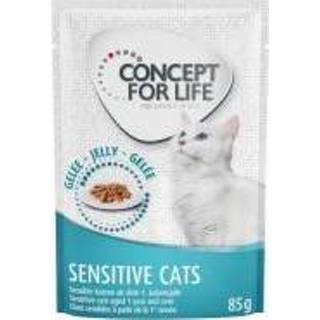 👉 Katten voer speciaalvoeding Concept for Life Sensitive Cats - in Gelei Kattenvoer 12 x 85 g