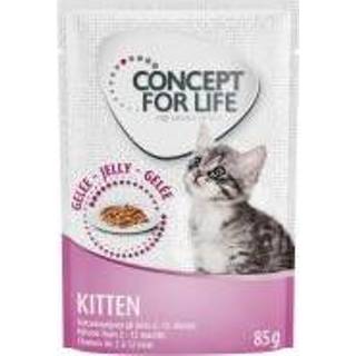 👉 Katten voer kitten Concept for Life - in Gelei Kattenvoer 12 x 85 g