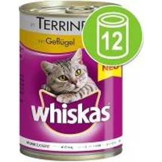 👉 Katten voer 12 x 400 g Whiskas 1+ Terrine met rund kattenvoer