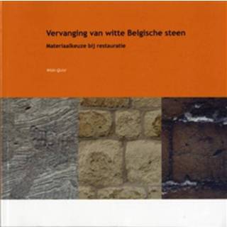 👉 Vervanging van witte Belgische steen - Boek W.J. Quist (9053353712)