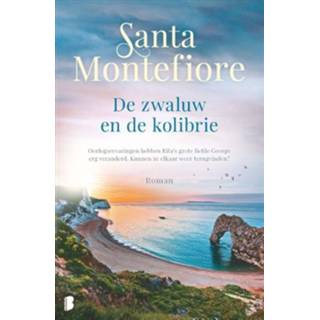 👉 De zwaluw en de kolibrie - Santa Montefiore (ISBN: 9789460234873)