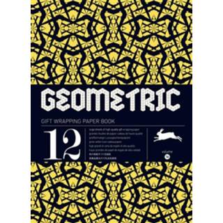 👉 Geometric - Pepin van Roojen (ISBN: 9789460090271)