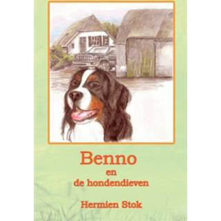 👉 Benno en de hondendieven - Boek Hermien Stok (9081320181)