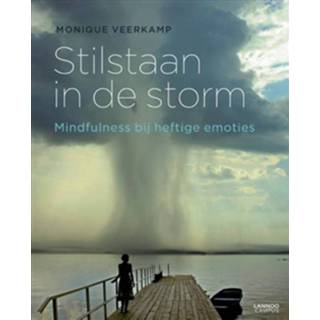 👉 Stilstaan in de storm - Boek Monique Veerkamp (9401411646)