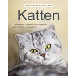 👉 Katten