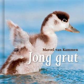 👉 Jong grut - Boek Marcel van Kammen (9492052156)