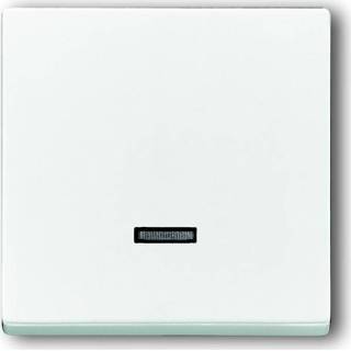 👉 Wit Busch-Jaeger Enkele drukker Dimmer 4011395129449