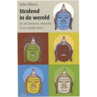 👉 Stralend in de wereld - Boek Sebo Ebbens (9056702912)