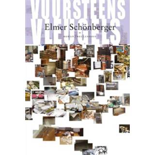 👉 Vuursteens vleugels - Elmer Schönberger (ISBN: 9789460232329)