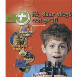👉 Plusleesboek E6