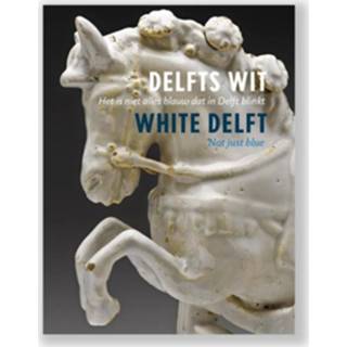 👉 Delfts Wit - Boek Vrije Uitgevers, De (9491196707)