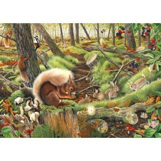 👉 Puzzel Save our Squirrels 1000 Stukjes 5060002003688