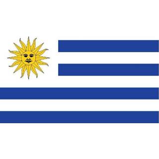 Vlag Uruguay multicolor P146 Vlag multicolor Uruguay 7106623943649