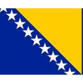 👉 Vlag multicolor Bosnië-Herzegovina 7106621880663