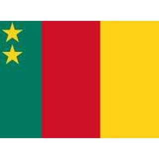 👉 Vlag multicolor Kameroen 7106624990482