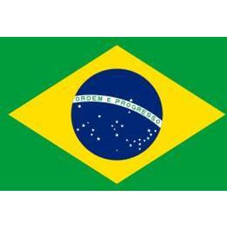 👉 Vlag multicolor Brazilië