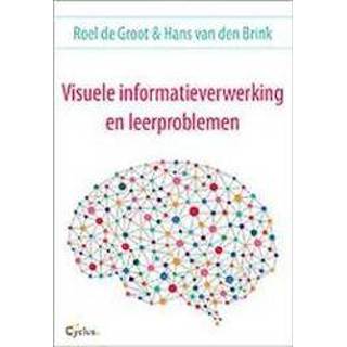 👉 Visuele informatieverwerking en leerproblemen. Van den Brink, Hans, Paperback 9789085750598