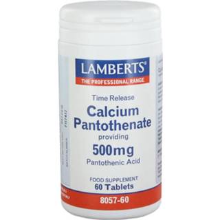 👉 Calcium voedingssupplementen Pantothenate 500 mg TR 5055148401368