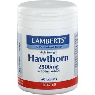 👉 Voedingssupplementen Hawthorn 2500 mg 5055148401795