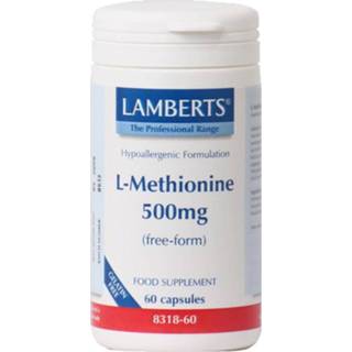 👉 Voedingssupplementen L-Methionine 500 mg 5055148401849