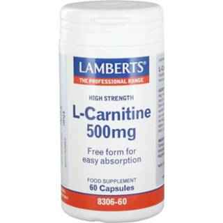 👉 Voedingssupplementen L-Carnitine 500 mg 5055148402068