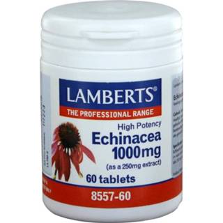 👉 Voedingssupplementen Echinacea 1000 mg 5055148402464