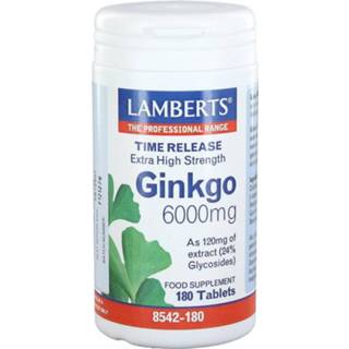 👉 Voedingssupplementen Ginkgo 6000 mg 5055148404017