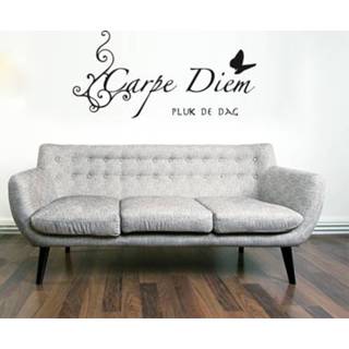 👉 Tekststicker Carpe Diem Pluk de dag
