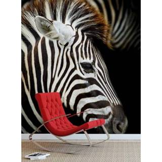 👉 Fotobehang Vlies Zebra