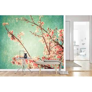 👉 Fotobehang Vlies Cherry blossom vintage