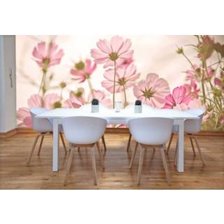 👉 Fotobehang Vlies Kleurrijke bloemen