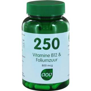 👉 Vitamine voedingssupplementen 250 B12 & Foliumzuur 8715687602509