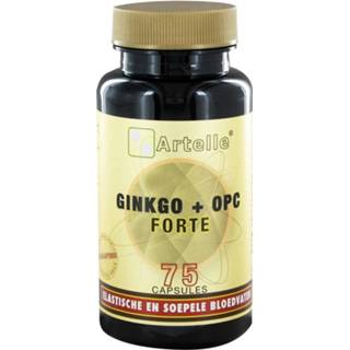 👉 Voedingssupplementen Ginkgo + OPC Forte 8717472405357