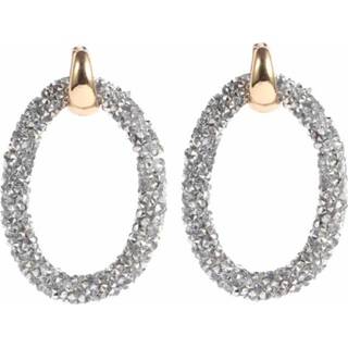 👉 Oorbel goud zilver vrouwen Fashion oorbellen Crystal Oval Gold Silver