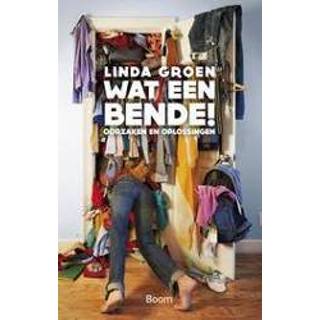 👉 Groen Wat een bende!. oorzaken en oplossingen, Linda Groen, Paperback 9789461057419