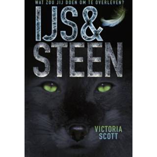 👉 Steen Victoria Scott IJs en - eBook (9025868347) 9789025868345