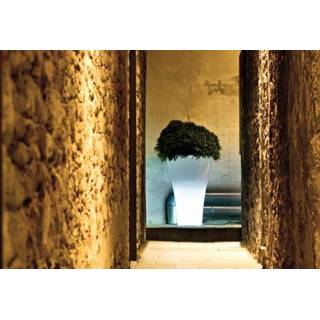 👉 SerraLunga Ming Verlicht