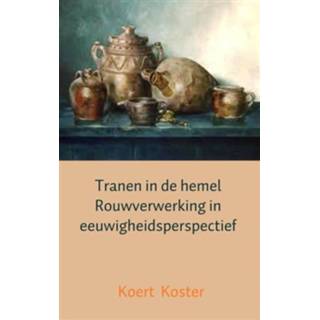 👉 Hemeltje koert Tranen in de hemel rouwverwerking eeuwigheidsperspectief - Boek en Marleen Koster (9461938241) 9789461938244