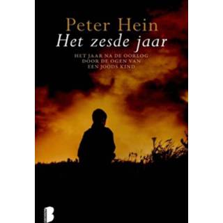 👉 Boek Peter Hein Het zesde jaar - (9022571645) 9789022571644