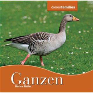 👉 Boek nederlands plant Darice Bailer Ganzen - (9055664618) 9789055664610