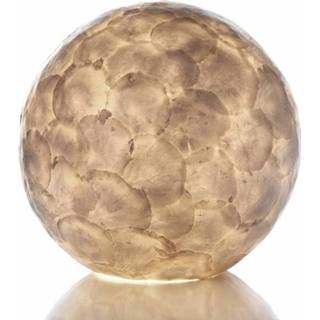 👉 Tafellamp Tafellampen Full Shel Ball 30cm Ø
