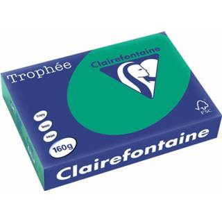 👉 Clairefontaine Trophée Intens A4,, 160 g, 250 vel, dennengroen