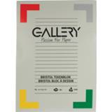👉 Gallery Bristol tekenblok, ft 21 x 29,7 cm , A4, 200 g m², 20 vel