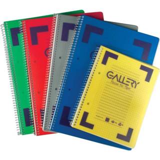 👉 Gallery Traditional spiraalschrift ft A5, geruit 5 mm, geassorteerde kleuren, 160 bladzijden