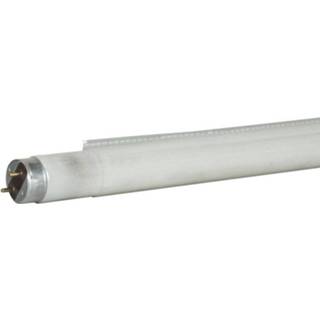 👉 Showtec C-tube TL-filter UV 8717748155450