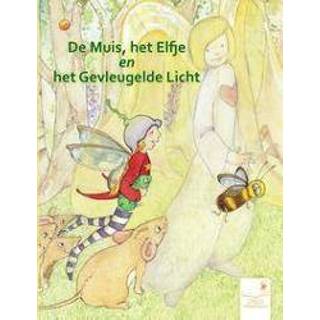 Mannen De muis, het elfje en gevleugelde licht. Boesten, Manou, Hardcover 9789082333800