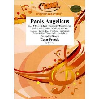 👉 Contrabas César Franck Panis Angelicus (Contrabass Solo)
