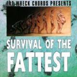 👉 Survival of the Fattest 2 W/No Use For a Name, Strung Out, Nofx, Diesel Boy, Tilt W/NO USE FOR A NAME, STRUNG OUT, NOFX, DIESEL . V/A, CD