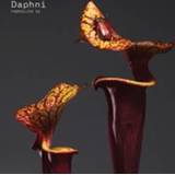 Fabriclive 93 Daphni . Daphni, CD