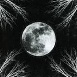 👉 Pale Moon . CORPUS CHRISTII, CD